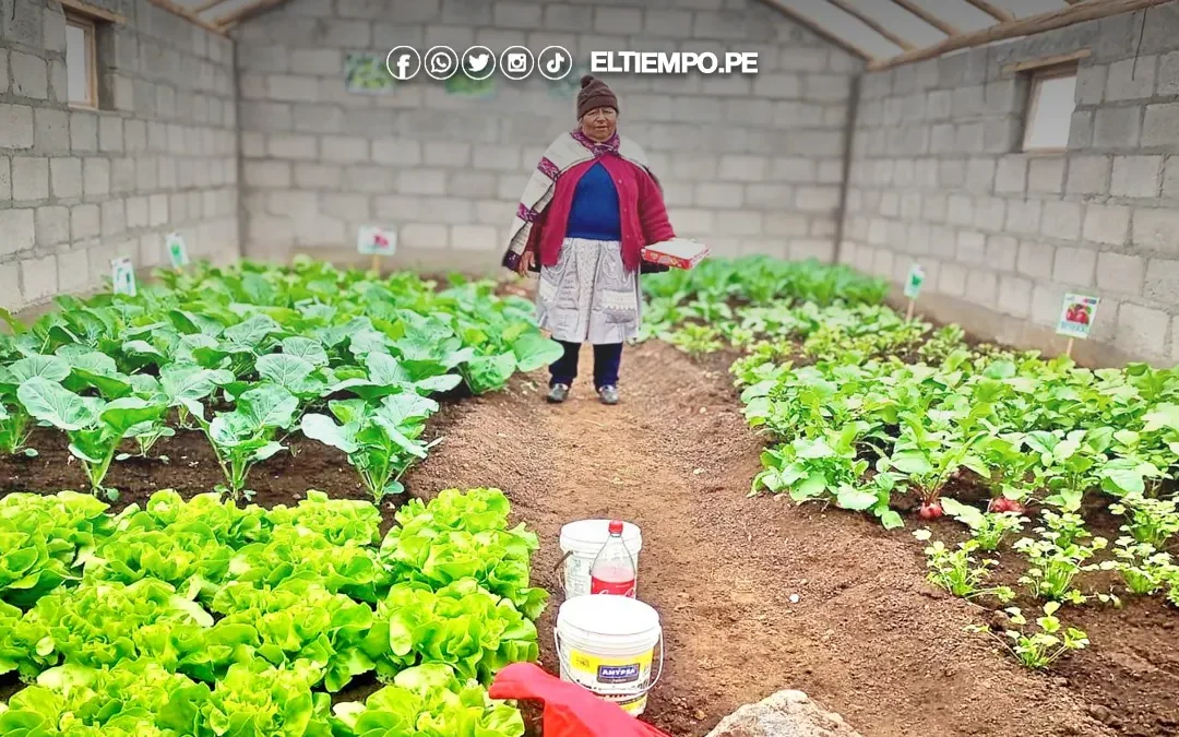 Bono agrario de 1000 soles para agricultores de Piura: ¿de qué se trata y cuáles son los requisitos?