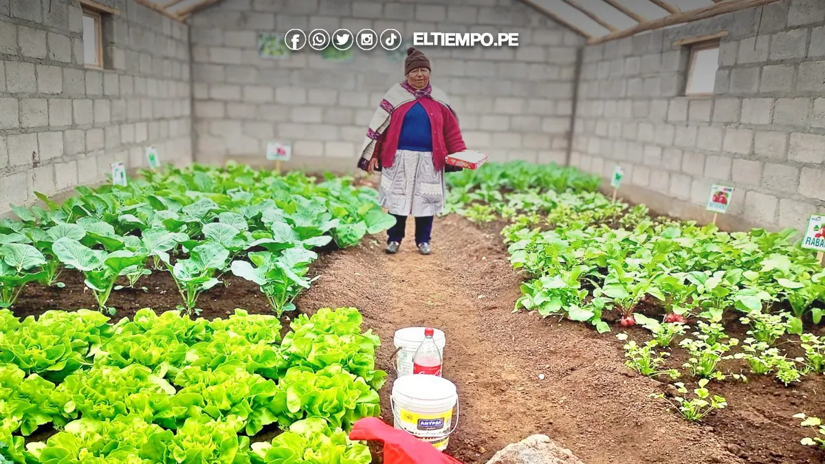 bono agrario bono agrario