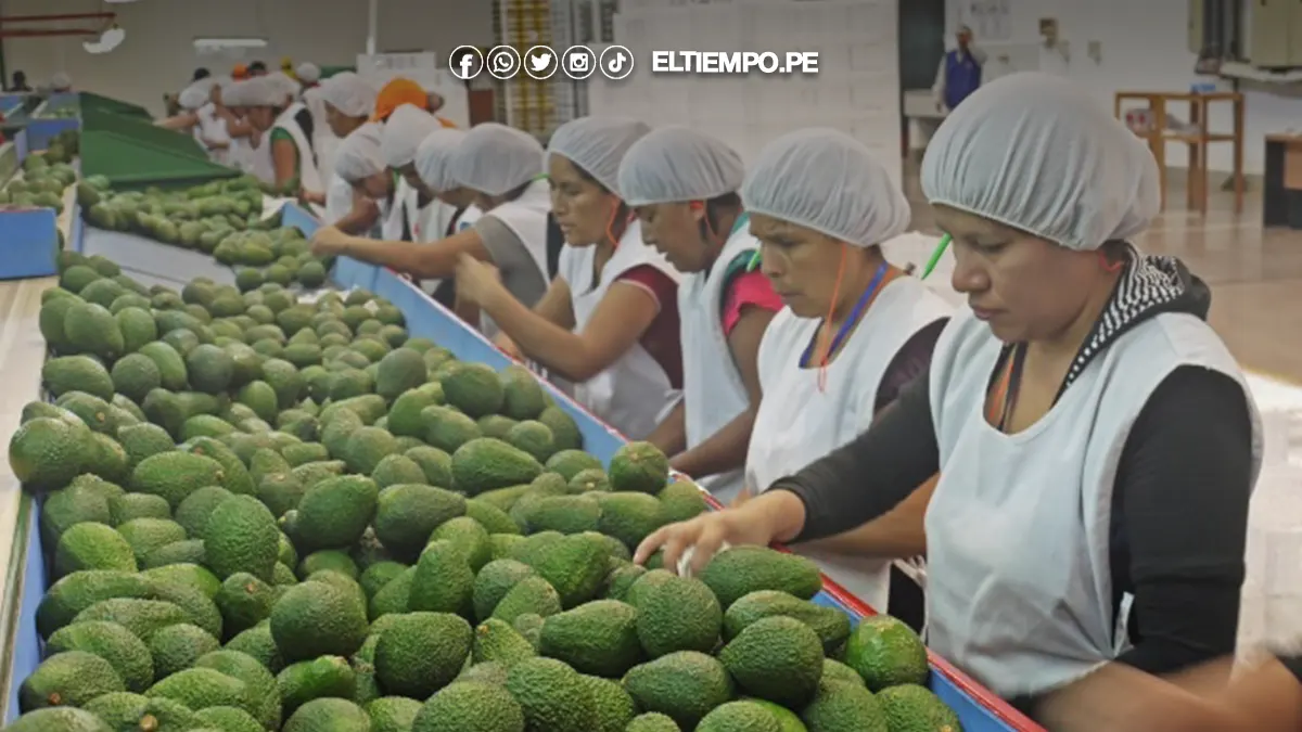 Economía de Piura Economía de Piura