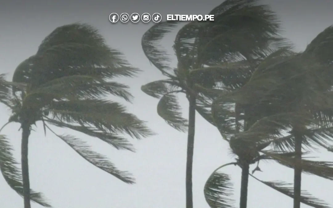 Advierten fuertes vientos en la costa peruana desde hoy hasta el viernes 13 de junio