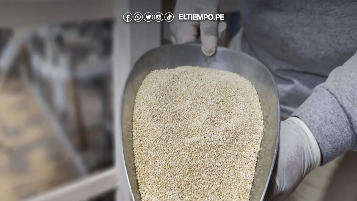 granos andinos granos andinos