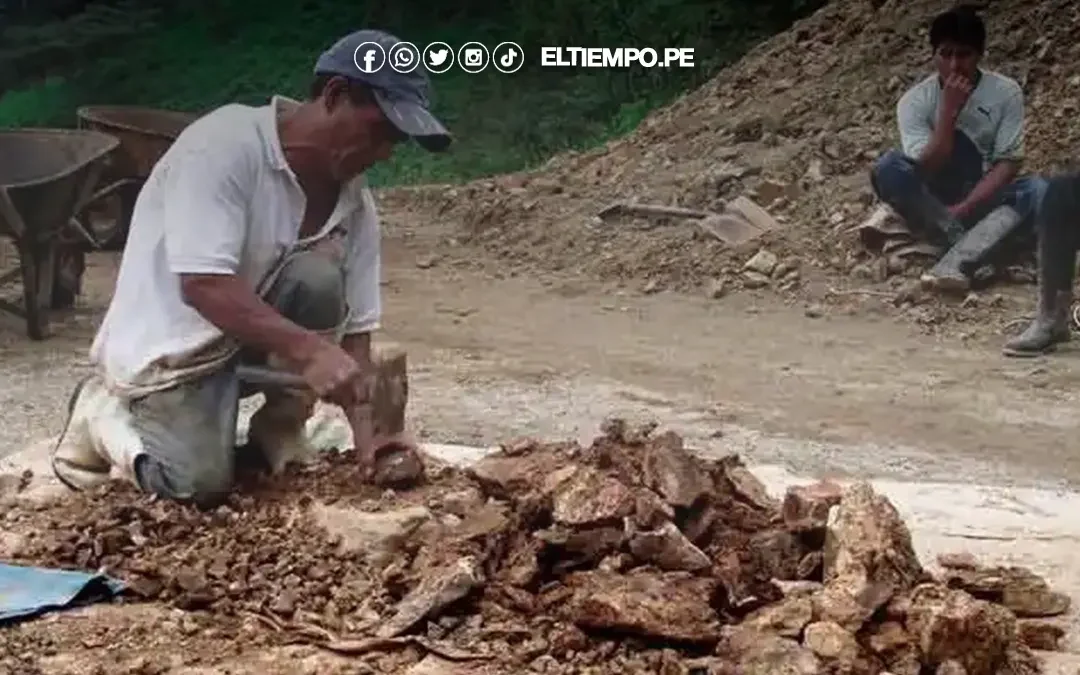 El 81.2% de mineros en Piura están suspendidos