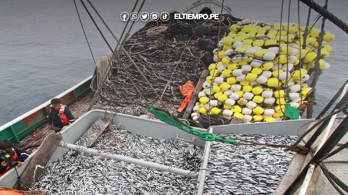 pesca de pota y anchoveta pesca de pota y anchoveta