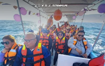 Piura: Caleta de Cabo Blanco abre su temporada de avistamiento de ballenas