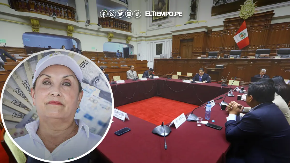 Comisión de fiscalización