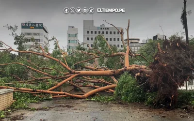 Tifón Danas deja al menos dos muertos y más de 300 heridos en Taiwán