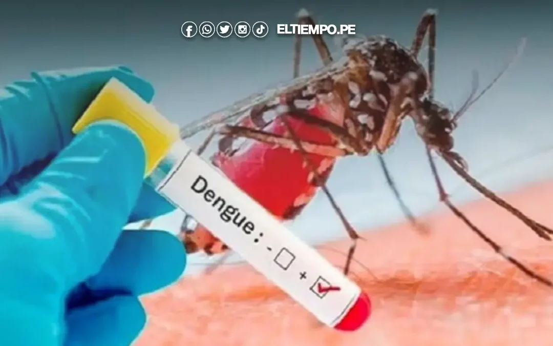 Dengue en Piura: casos alcanzan su nivel más bajo en los últimos cuatro años