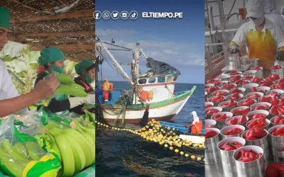 Economía piurana creció 5.7% impulsada por el agro, pesca y manufactura
