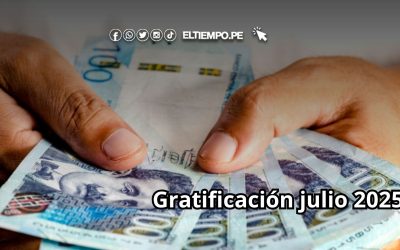 Cálculo de gratificación julio 2025 si gano 1130 soles mensuales