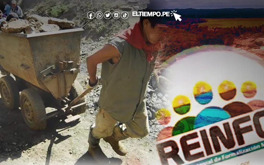 Siete de cada diez mineros del Reinfo operan en concesiones de otros pequeños mineros