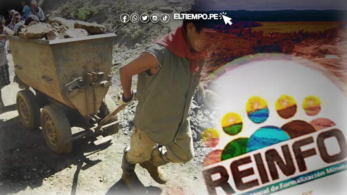 Siete de cada diez mineros del Reinfo operan en concesiones de otros pequeños mineros Siete de cada diez mineros del Reinfo operan en concesiones de otros pequeños mineros