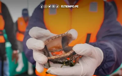 Otorgan concesiones a mypes acuícolas en Sechura que generan más de 35 mil empleos
