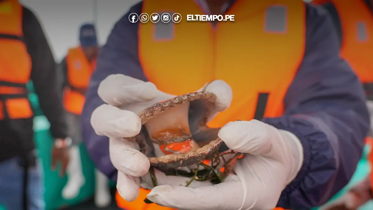 Otorgan concesiones acuícolas