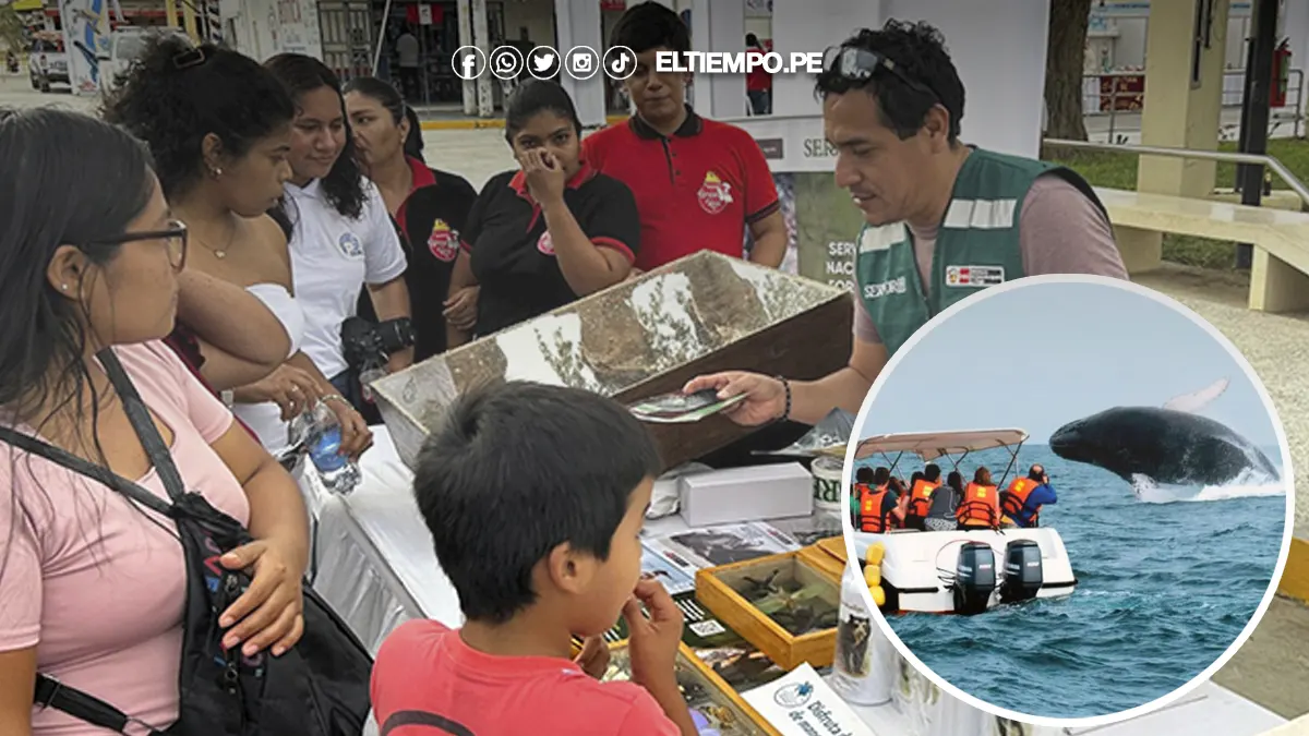 Piden cuidar fauna marina