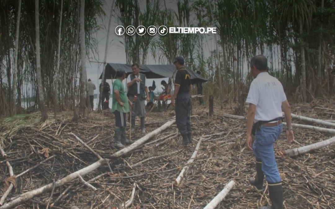 Ejecutivo amplía estado de emergencia en Madre de Dios por minería y tala ilegal