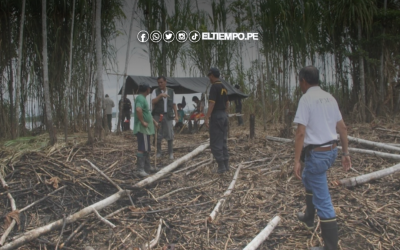 Ejecutivo amplía estado de emergencia en Madre de Dios por minería y tala ilegal