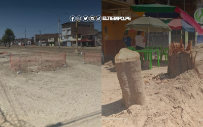 Piura: Talarán casi 600 árboles en la av. Don Bosco por ejecución de obra vial