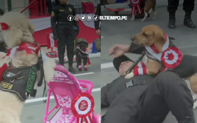 Policía Canina sorprende en el Desfile Militar 2025 con trucos en scooter, piano y saltos