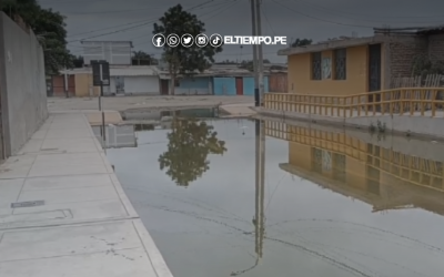 Piura: Vecinos del asentamiento 31 de Enero conviven con aguas servidas tras colapso de desagüe