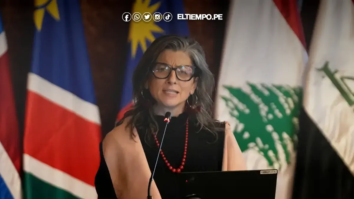 Relatora de la ONU Relatora de la ONU