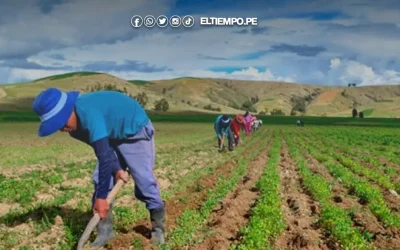 BCR: actividad agropecuaria registró expansión de 9.3% en mayo