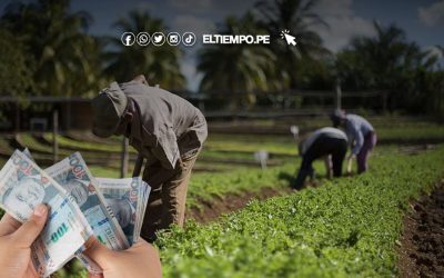 Subsidio extraordinario de 1000 soles en julio del Midagri: Consulta dónde cobrar este bono y quiénes acceden a él