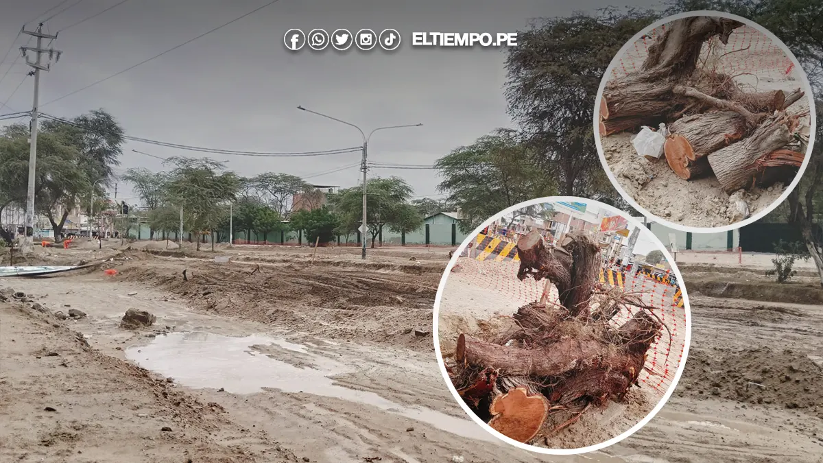 Tala de árboles en avenida Don Bosco Piura