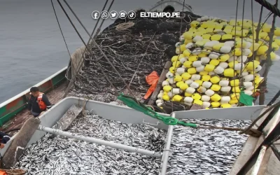Produce da por concluida la primera temporada de pesca de anchoveta en el norte y centro del país