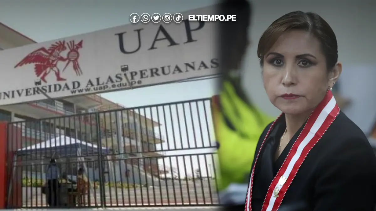 tesis de Patricia Benavides