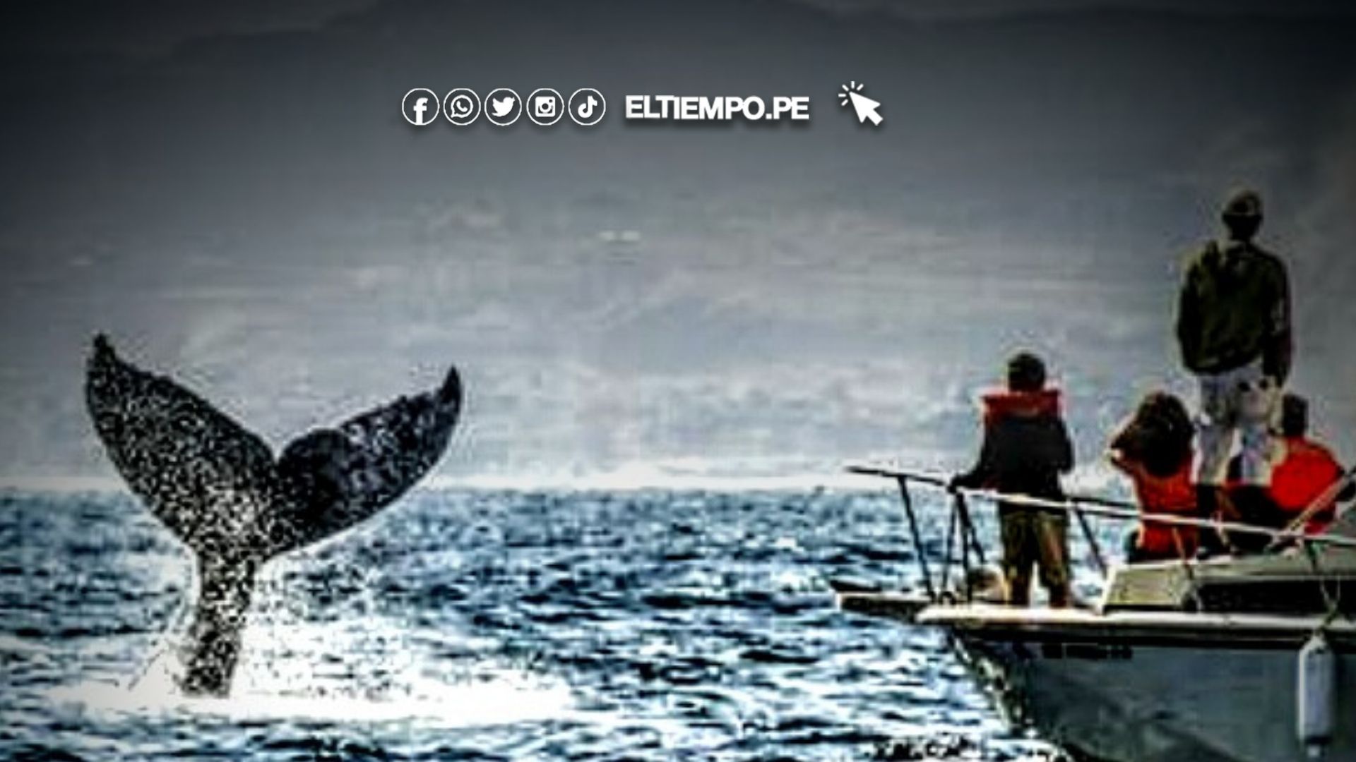 Actividades turísticas Los Órganos