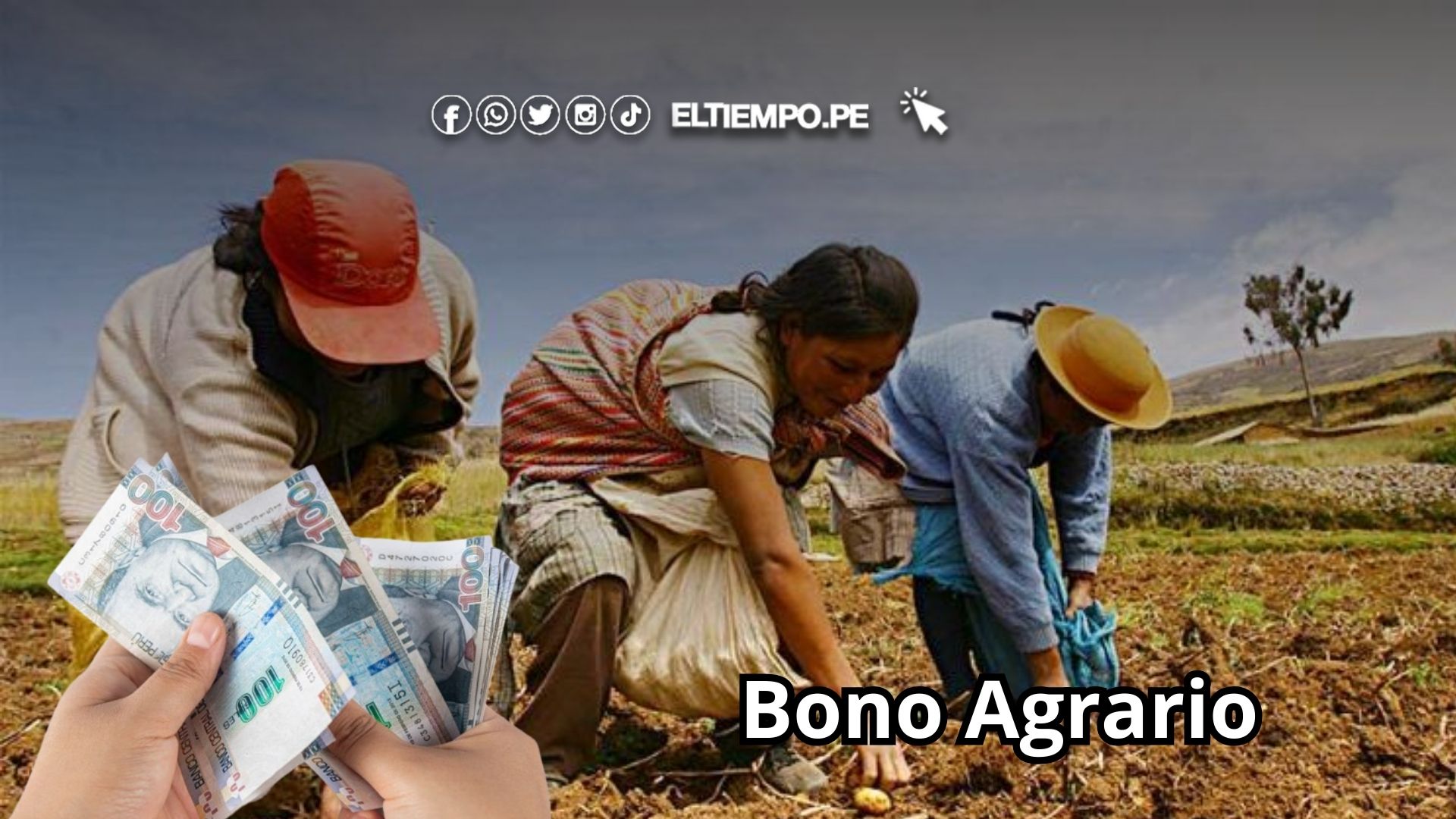 Bono Agrario 2025 (1)