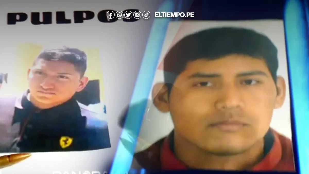 Cabecilla de Los Pulpos Cabecilla de Los Pulpos