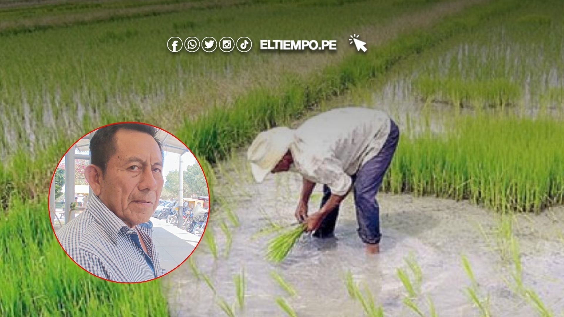 cura mori campaña agricola