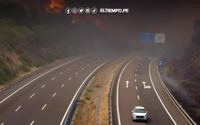 España continúa lucha contra incendios forestales: 382 mil hectáreas arrasadas y más de 31 mil evacuados