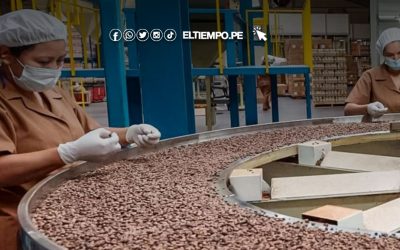 Exportaciones de café peruano superaron los 300 millones de dólares en el primer semestre del 2025