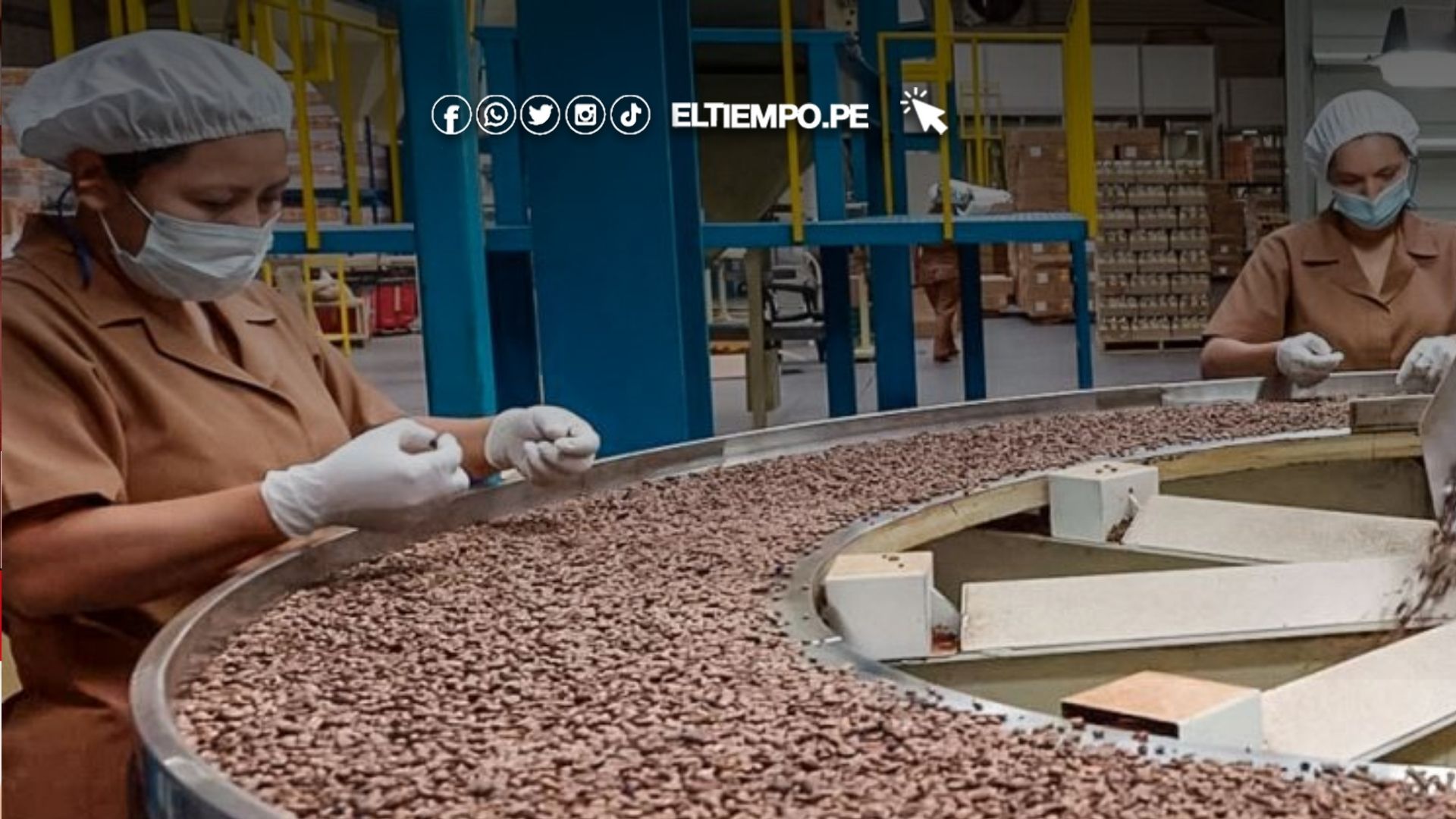 exportaciones de café peruano