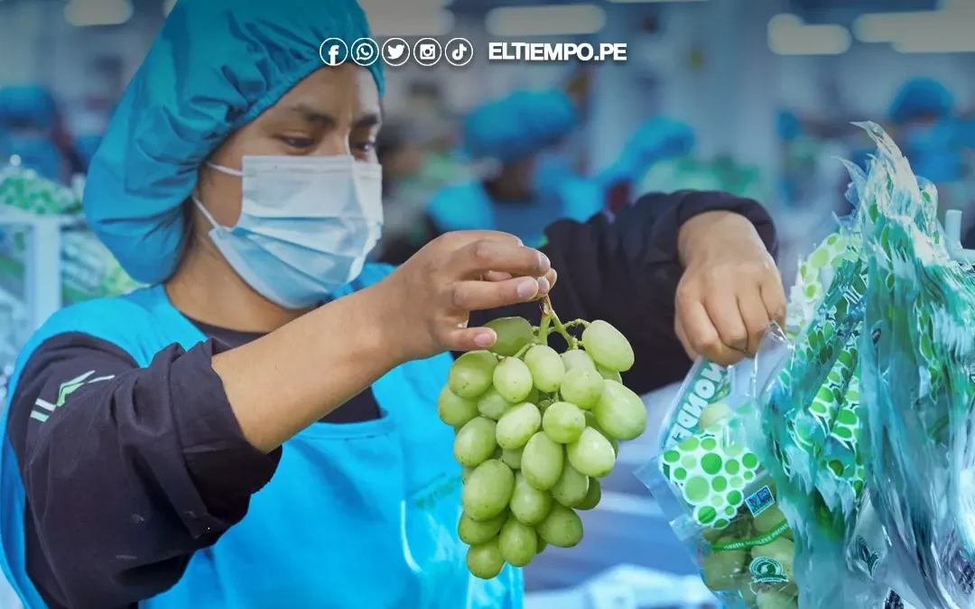 Exportaciones no tradicionales de Perú a México crecieron 25%