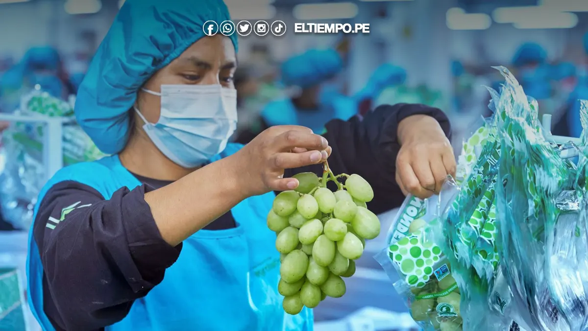 Exportaciones no tradicionales de Perú a México crecieron 25%