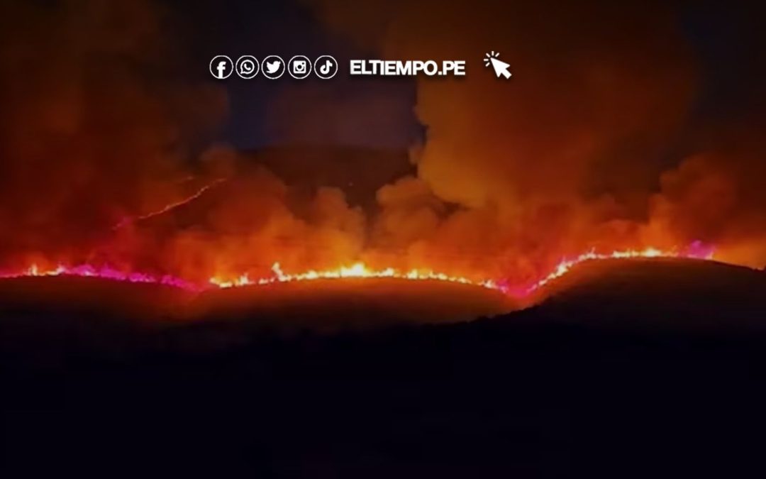 Incendios en Albania: evacúan a más de 500 turistas de la localidad costera de Saranda