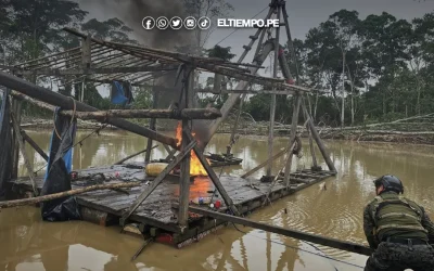 Minería ilegal en el Perú puede financiar a políticos y campañas oscuras