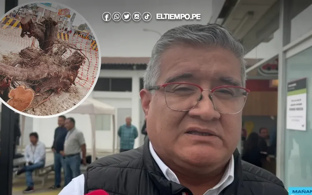 Ministro del Ambiente en Piura sobre tala de árboles en obras públicas: “No queremos más cemento, sino recuperar áreas verdes”
