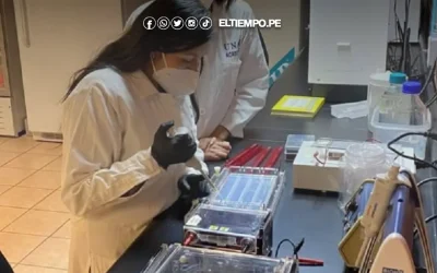Ejecutivo aprueba otorgar más de S/1.7 millones para innovación en las mipymes
