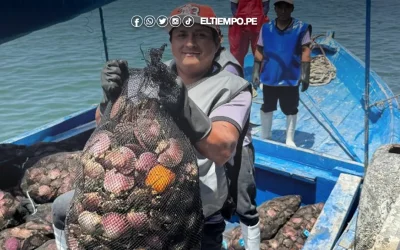 Otorgan más de S/ 32 millones en créditos para reactivar la maricultura en Sechura