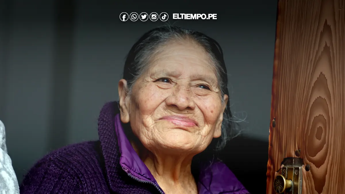 pensión 65 202 pensión 65