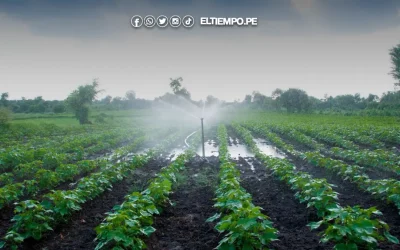 Perú impulsará agroexportaciones con nuevas irrigaciones, apertura de mercados y puertos
