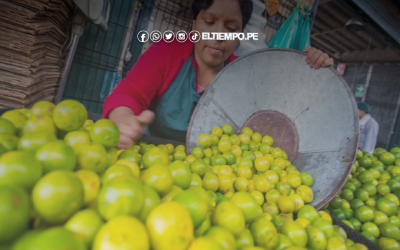 Precio del limón se duplica y podría alcanzar los 10 soles en septiembre en Perú