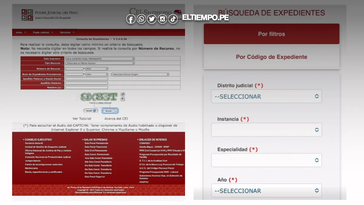 poder judicial consulta