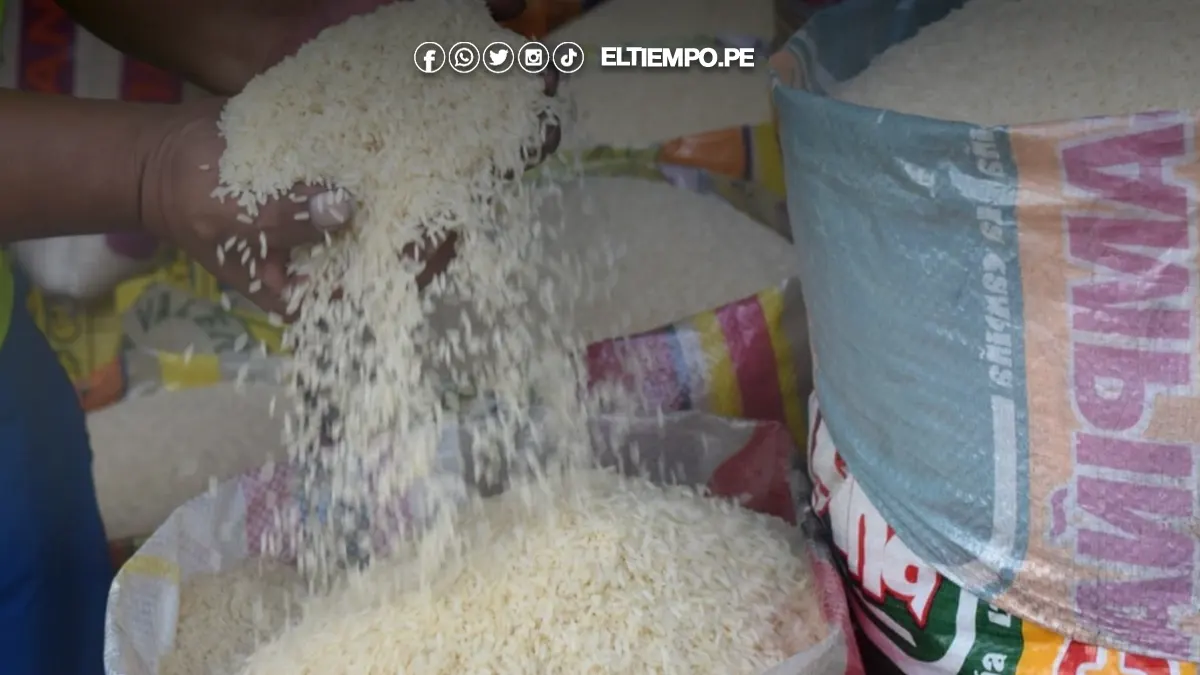 Producción de arroz en Piura creció 16,7% en junio de 2025, según INEI