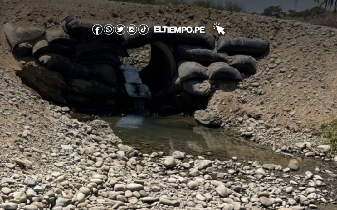 Sullana: Construirán puente vehicular en Algodonal para beneficiar a los agricultores