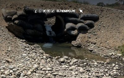 Sullana: Construirán puente vehicular en Algodonal para beneficiar a los agricultores